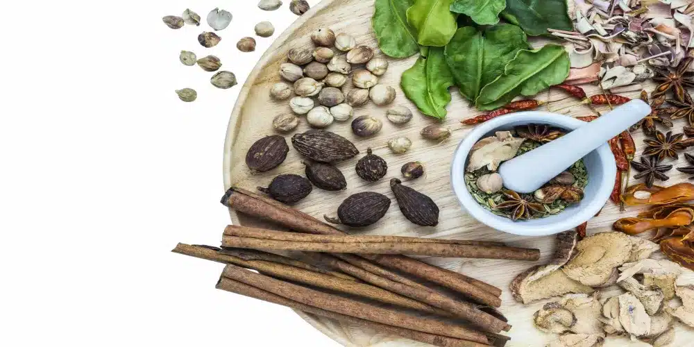 أعشاب الإنجاب