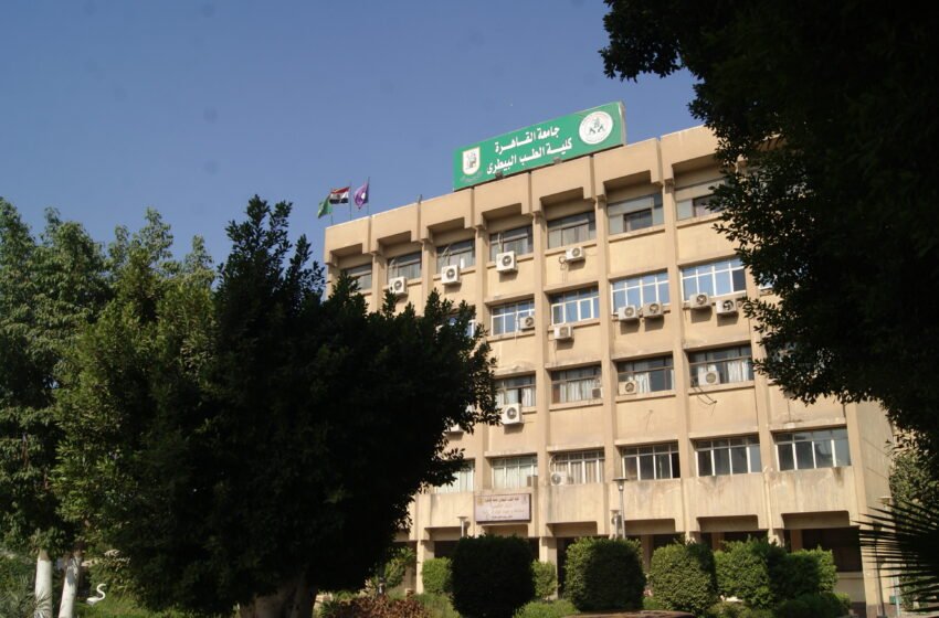 نتيجة تنسيق كلية طب بيطري جامعة القاهرة 2022