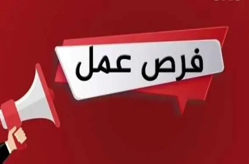 وظائف مديرية تعليم القاهرة 2022