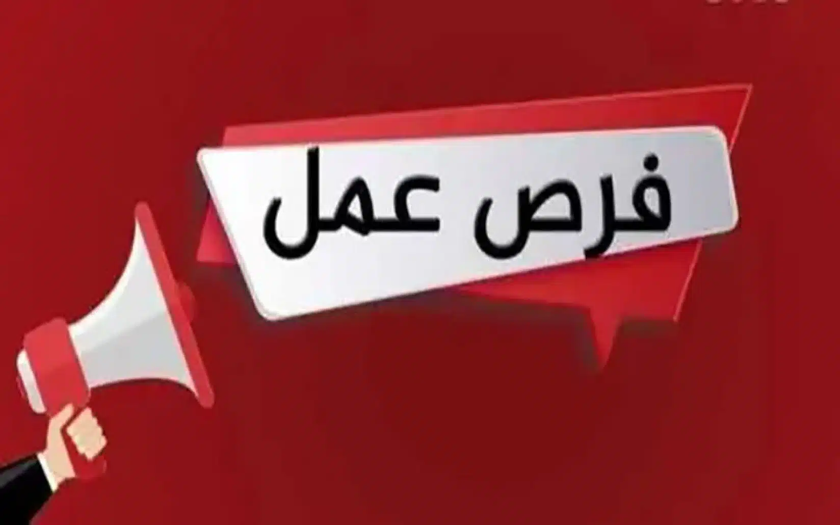 تعيينات شركة المياه والصرف بالقليوبية