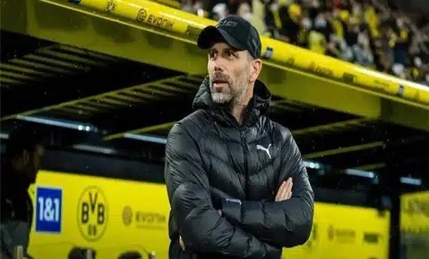 من هو ماركو روزه الأقرب لتدريب الاهلي؟