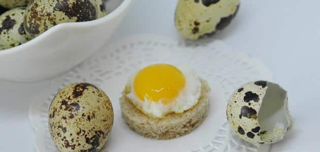 طريقة عمل بيض السمان