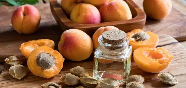علاج السرطان ببذور المشمش