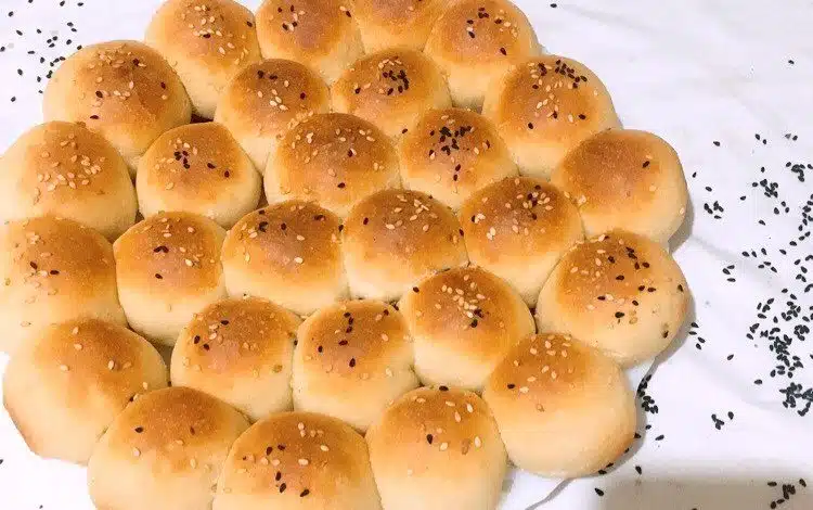 طريقة عمل خلية النحل