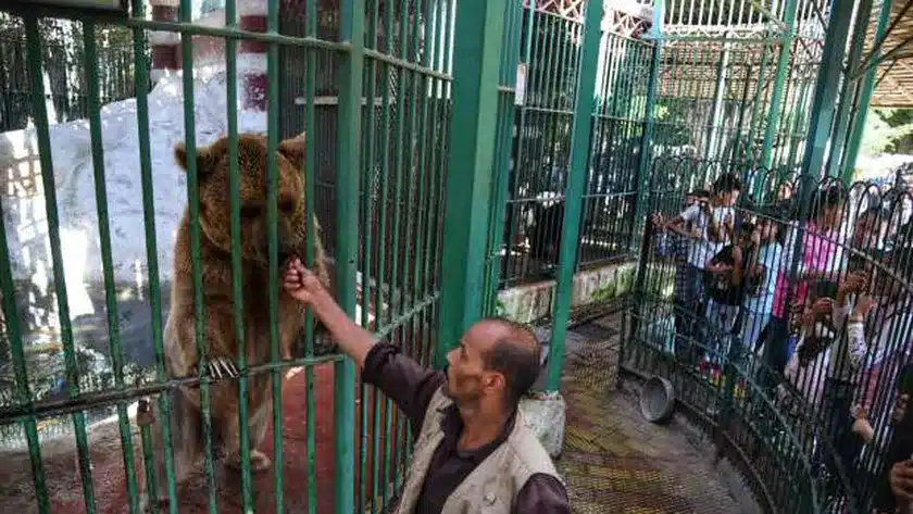 هل حديقة حيوان الجيزة مفتوحة الجمعة 21 أبريل
