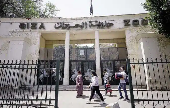هل حديقة حيوان الجيزة مفتوحة الجمعة 21 أبريل