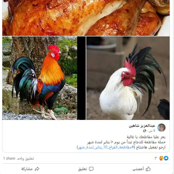 حملة مقاطعة الدجاج في مصر