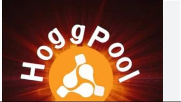 هل يمكن استرداد الاموال من هوج بول؟