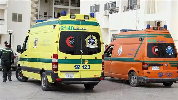 مذبحة منطقة أبو سليمان شرقي الاسكندرية