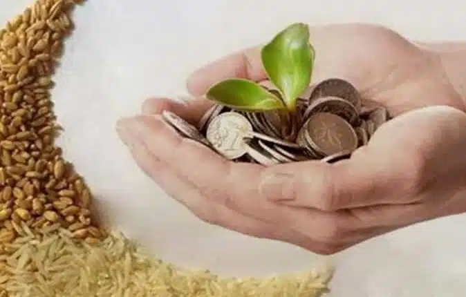 كام قيمة زكاة عيد الفطر 2023 في مصر